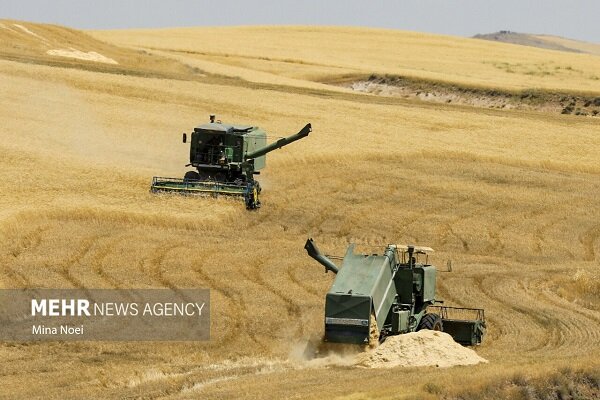 سهم کشاورزی از سرمایهگذاری در اقتصاد فقط ۳ درصد است